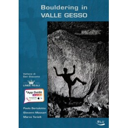 Boulderführer Seealpen