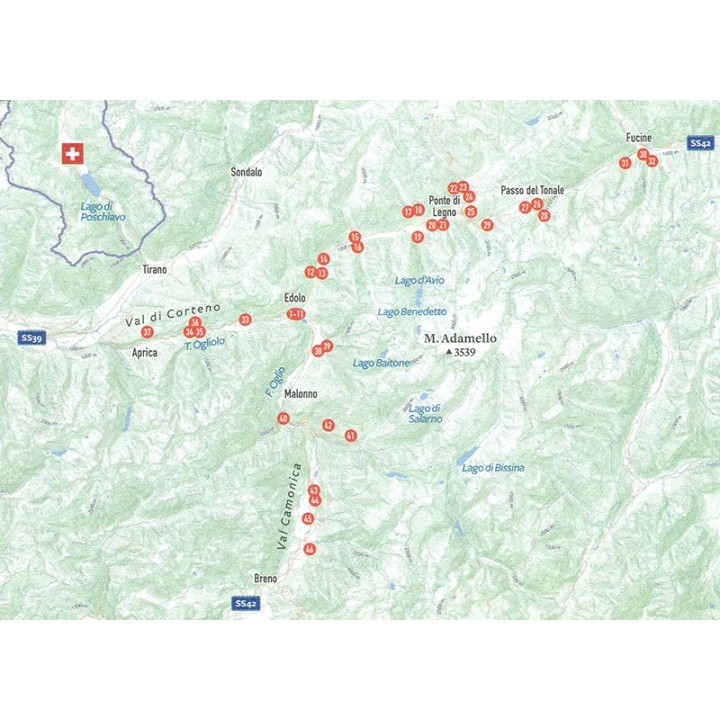 Mountainbikefuhrer Adamello