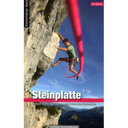 Kletterführer Steinplatte