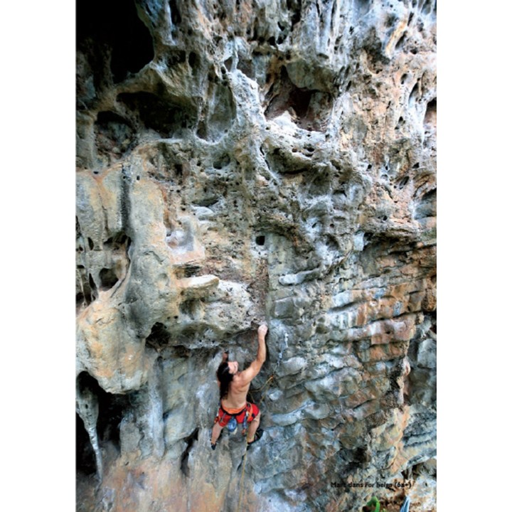 Planète Verticale