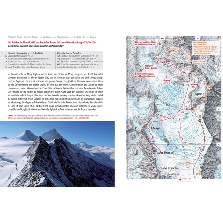 Topoführer Walliser Alpen