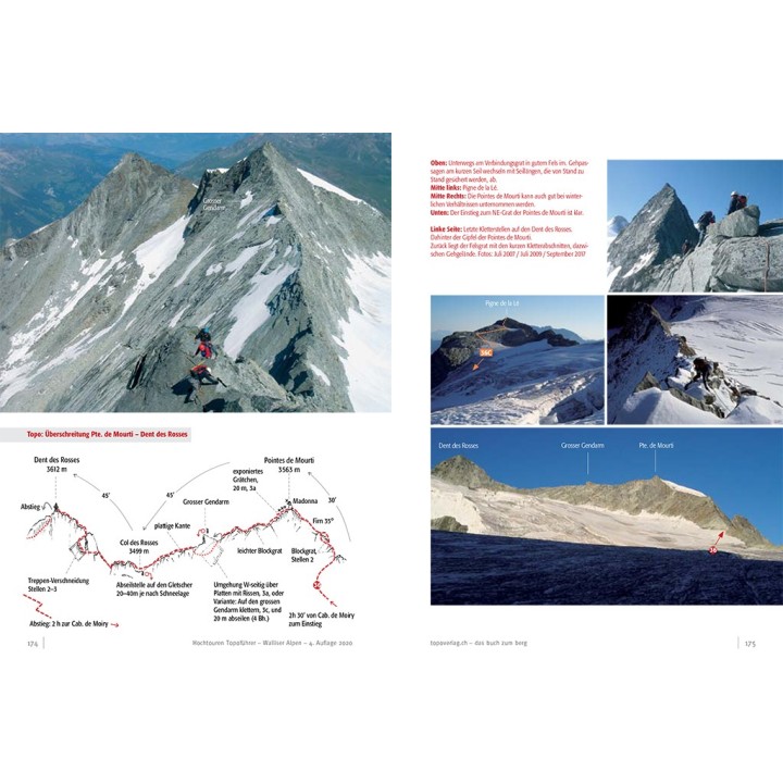 Topoführer Walliser Alpen