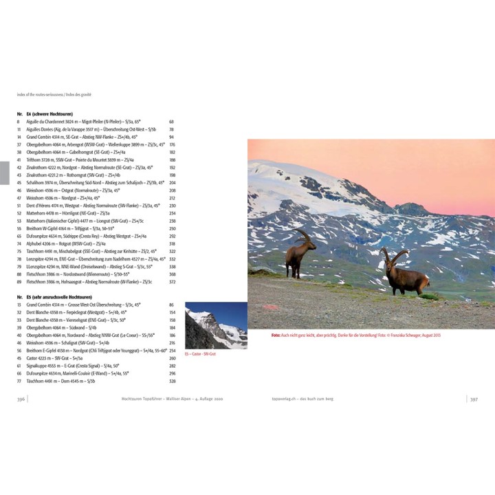 Topoführer Walliser Alpen