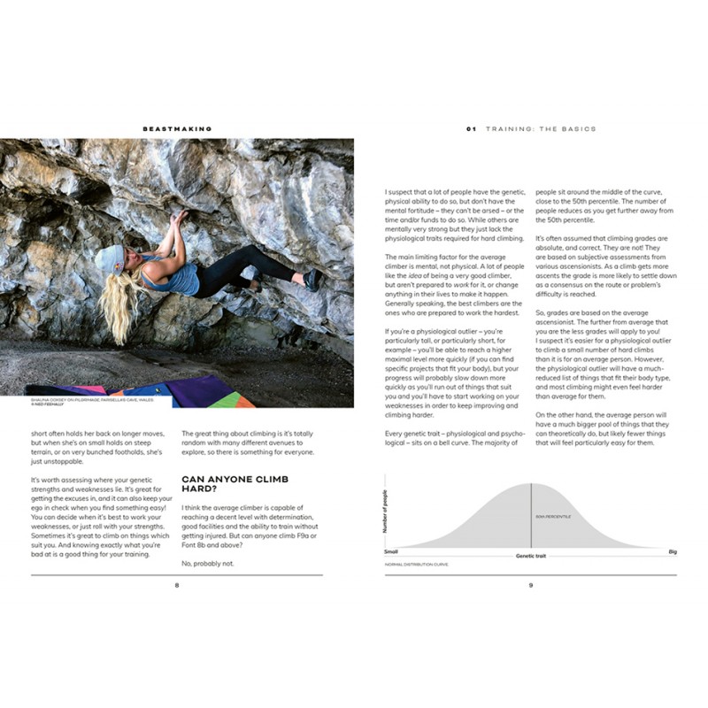 Trainingsbuch Beastmaking