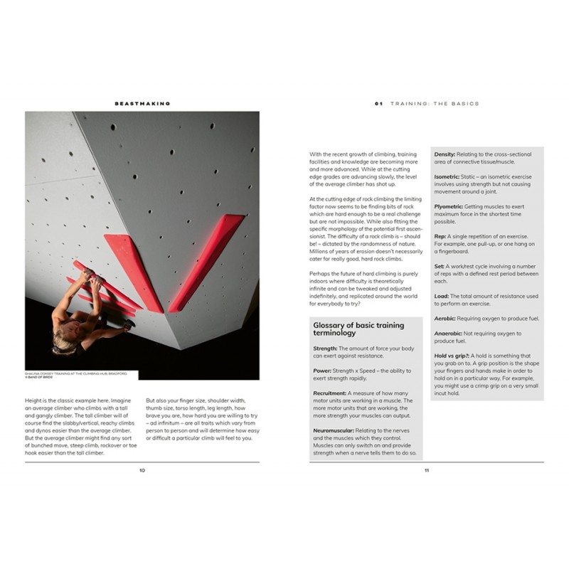 Trainingsbuch Beastmaking