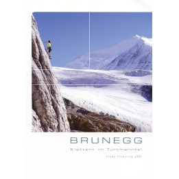 Brunegg - Klettern im Turtmanntal