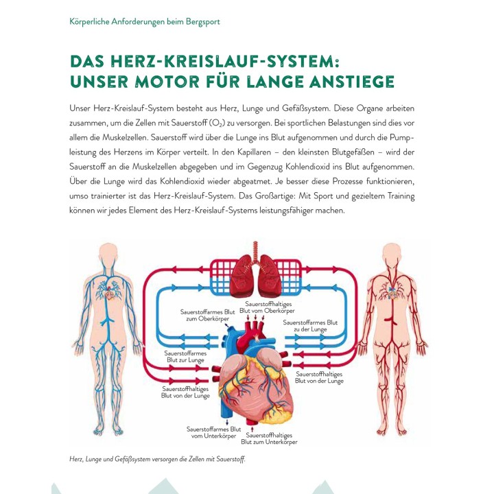 Fit für die Berge