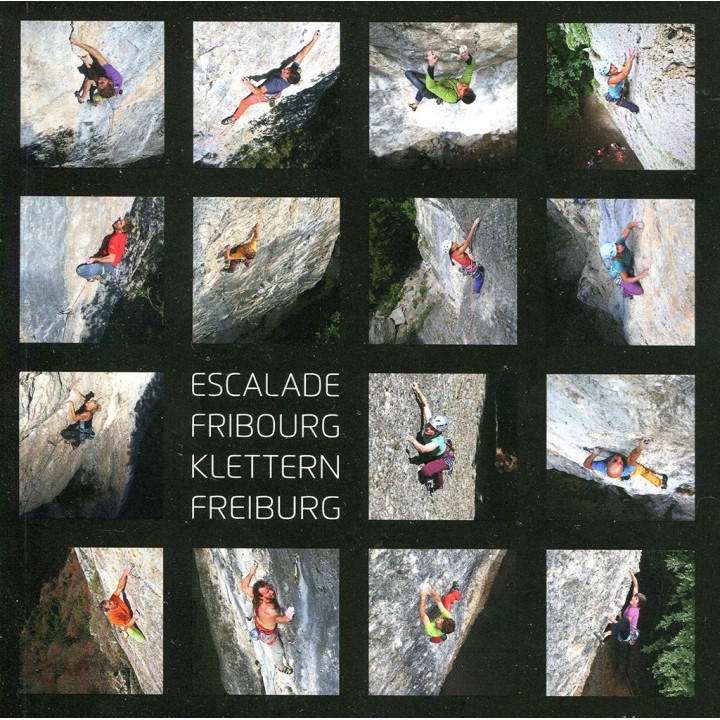 Klettern Freiburg (Schweiz)