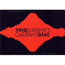 Boulderführer Cavallersbloc